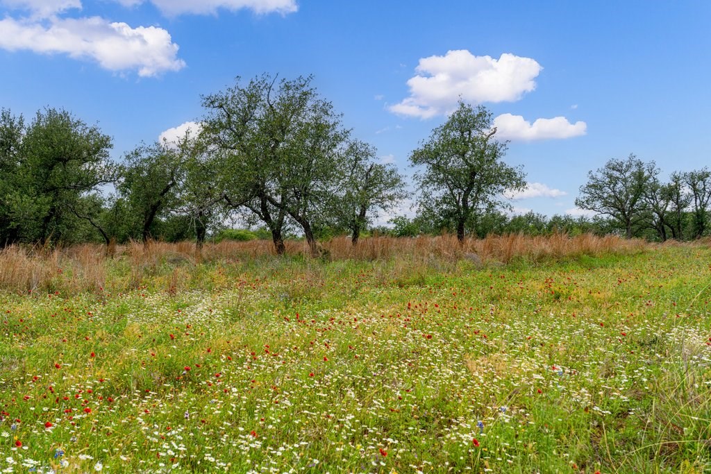 Hill Country acreage at 100 Slate Rock Rd near Willow City photo 2