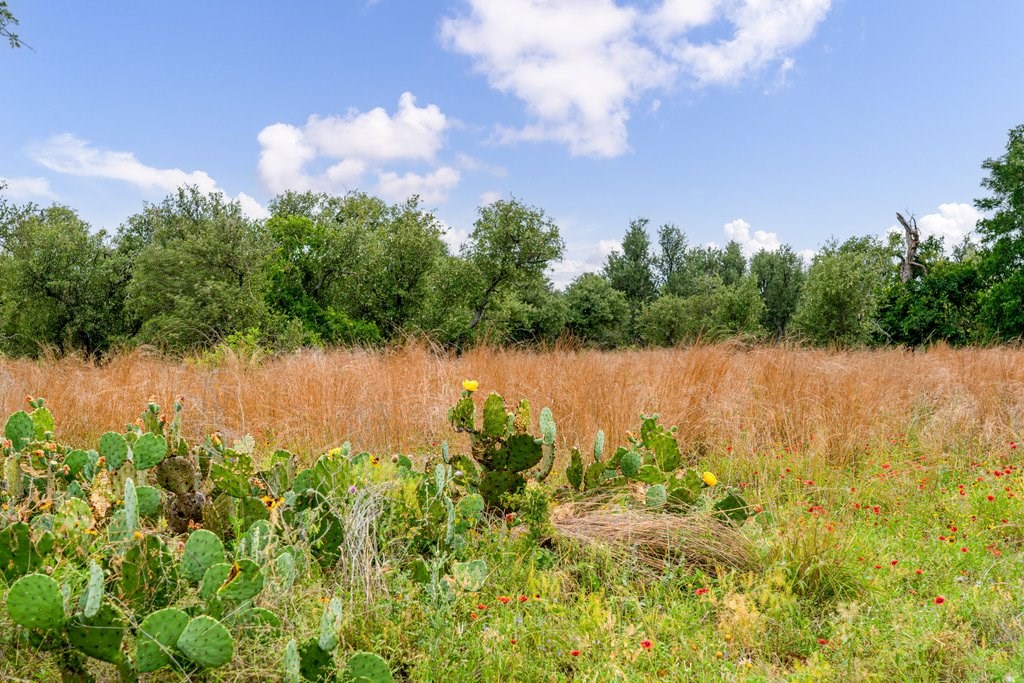 Hill Country acreage at 100 Slate Rock Rd near Willow City photo 3