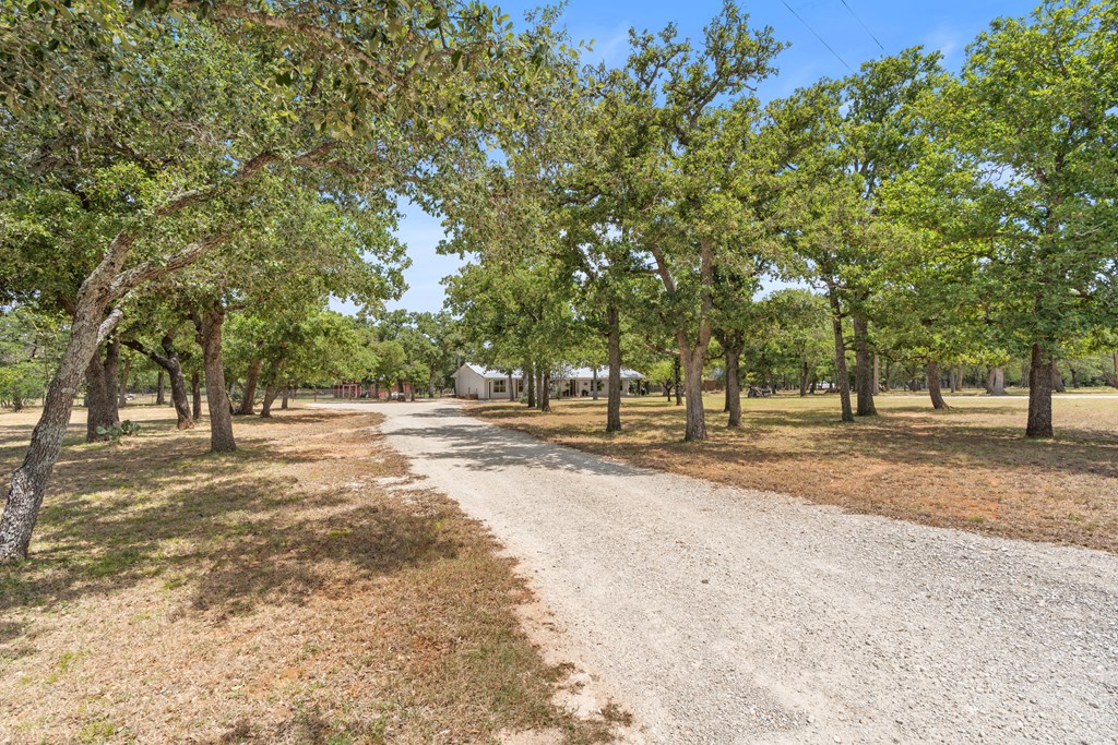 111 Wilderness Dr, Fredericksburg TX home for sale - Savannah Sikes, Fredericksburg REALTOR - photo 3