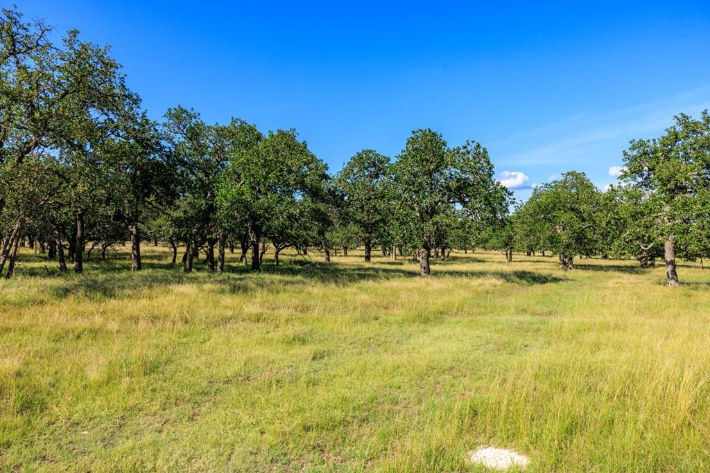 11470 N US Hwy 87, Fredericksburg Texas