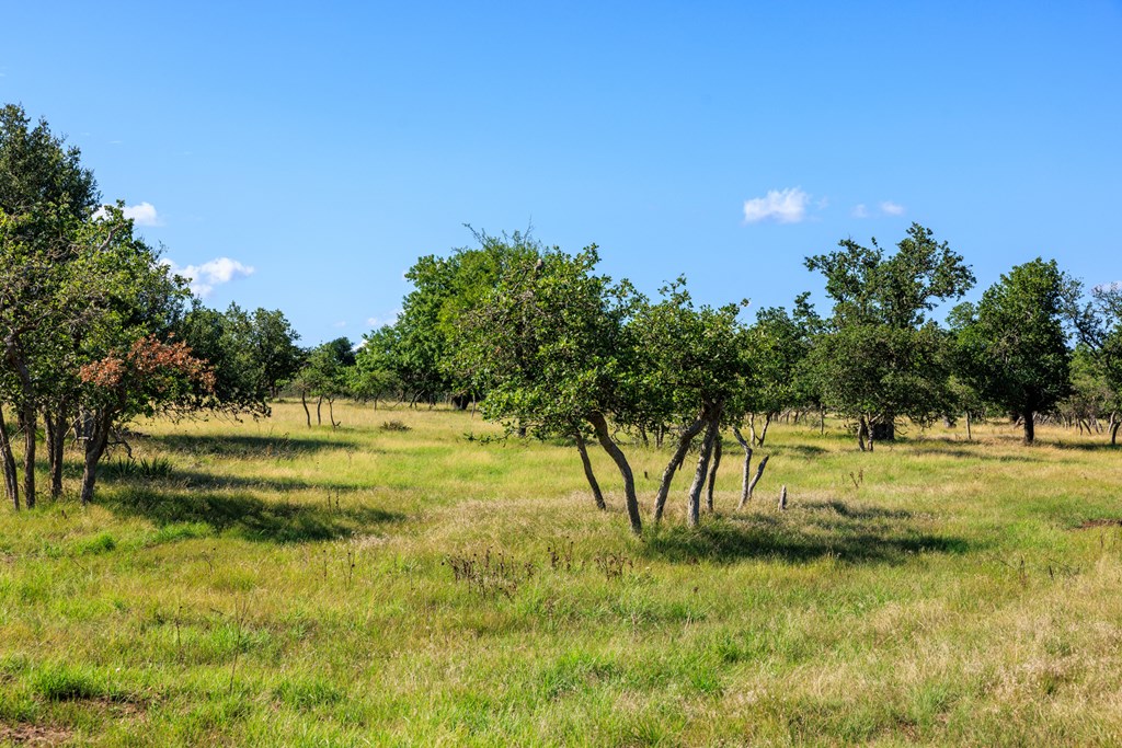 11470 N US Hwy 87, Fredericksburg TX land for sale - Savannah Sikes, Fredericksburg REALTOR - photo 6