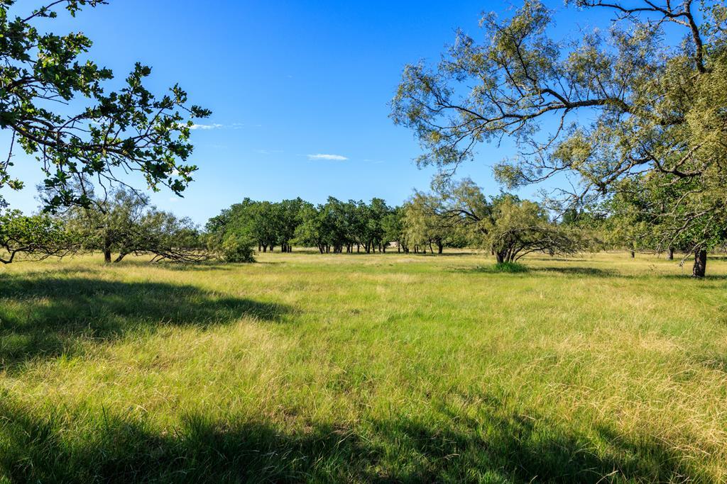 11470 N US Hwy 87, Fredericksburg TX land for sale - Savannah Sikes, Fredericksburg REALTOR - photo 7