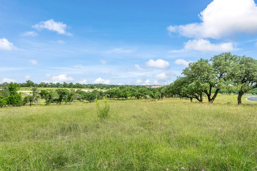 120 Crepe Myrtle Ct, Fredericksburg Texas