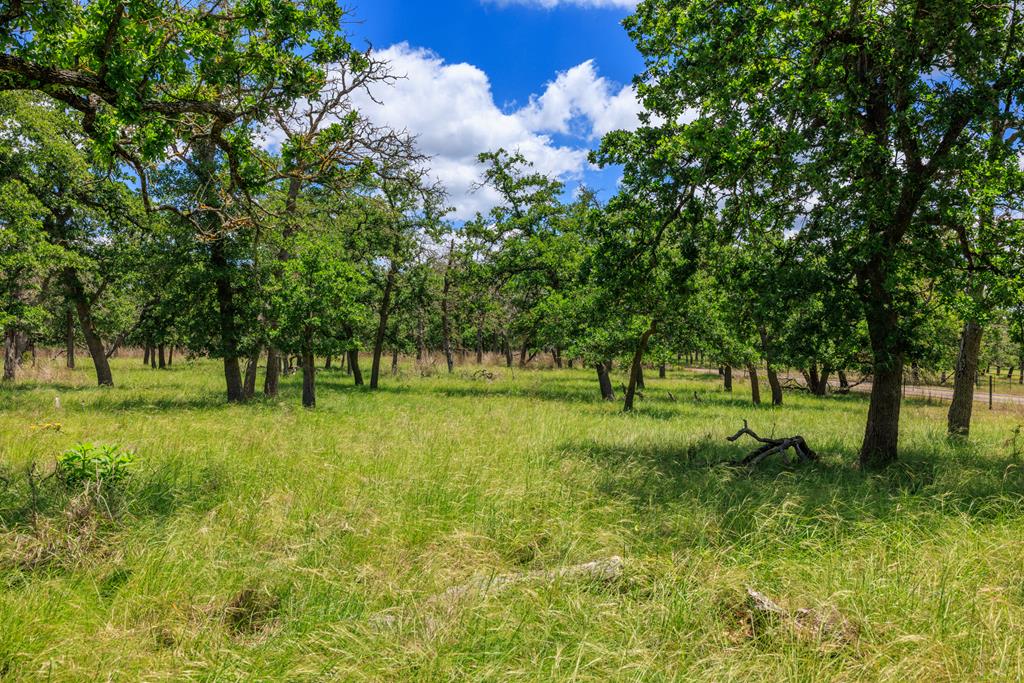 2100 Grape Creek Rd, Fredericksburg Texas