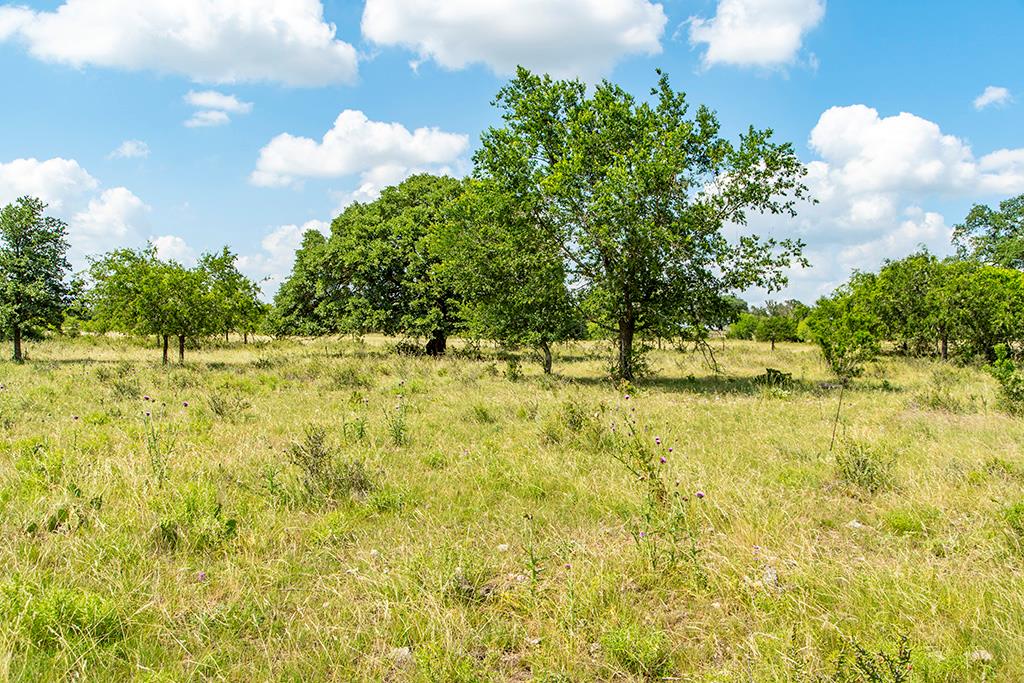 21688 FM 2093, Harper Texas
