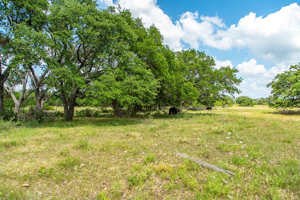21882 FM 2093, Harper Texas