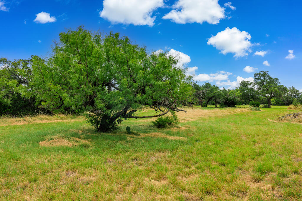 4420 Ranch Rd 648, Fredericksburg TX land for sale - Savannah Sikes, Fredericksburg REALTOR - photo 4