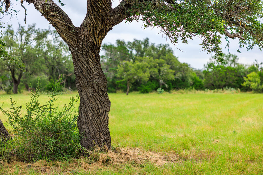 4420 Ranch Rd 648, Fredericksburg TX land for sale - Savannah Sikes, Fredericksburg REALTOR - photo 6