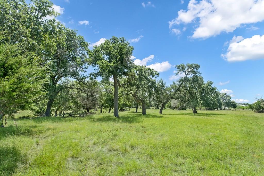 492 Inspiration Loop, Fredericksburg Texas